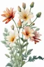 Placeholder: generate an image of a rare flower ; realistic style, white background bright colors