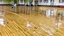 Placeholder: lady dirties wood floor in public fitness center