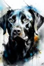 Placeholder: A portrait of black Labrador by Willem Haenraets, watercolor, wet on wet and splattering techniques, centered, perfect composition, abstraction, surrealism