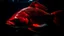 Placeholder: A large, vibrant red fish with prominent scales and fins swimming in a dark, mysterious underwater environment