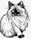 Placeholder: Birman Cat Breed clean sharp 64 K clipart line art