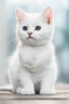 Placeholder: a white cute cat