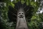 Placeholder: A 200-foot-tall tree with a face. Photograph.