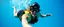 Placeholder: female bay watch traffic cop, diving in the olympics