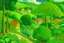 Placeholder: A green village covered in nature and foliage painted by Paul Ranson