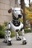 Placeholder: A robotic dog