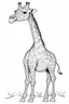 Placeholder: outline art for Giraffe coloring pages with sitch, white background, Sketch style, full body, only use outline, toddlers style, clean line art, white background, no shadows and clear and well outlined.