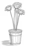 Placeholder: outline art for carnation flower in a bucket on a rough ground, white background, Sketch style, full body, only use outline, toddlers style, clean line art, white background, no shadows and clear and well outlined.