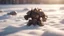 Placeholder: Photoreal magnificent warhammer pulsing with radiant light lying in the snow, in the style of fantasy movies, shot on Hasselblad h6d-400c, zeiss prime lens, bokeh like f/0.8, tilt-shift lens 8k, high detail, smooth render, unreal engine 5, cinema 4d, HDR, dust effect, vivid colors