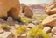Placeholder: Sunny day, rocks, big rocks, vegetations, distant mountains, sci-fi, anton romako, and ferdinand hodler paintings
