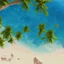 Placeholder: 9. Generate an image of a sun-soaked beach with palm trees and crystal-clear water