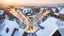 Placeholder: angel's view barn owl seen from the back from the top view flying over a winter small village, snowy landscape, little light, sunrise, some small Hungarian old country houses from above, perspective, high detailed, sharp focuses, photorealistic, cinematic