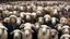 Placeholder: large crowd of people all with sheep heads