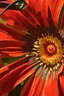Placeholder: Dazzling orange Gazania; thick acrylic paint; Post Impressionist