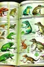 Placeholder: different variations of amphibians montage science book style