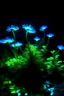 Placeholder: Generate bioluminescent plants varying in size and shape