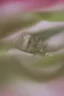 Placeholder: Colorless green ideas sleep furiously; abstract art