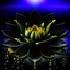 Placeholder: avatar picture, black lotus with gold drops on petals on purple water