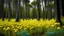 Placeholder: alien woodland trees looking like multi stemmed dandelions