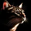 Placeholder: a logo of cat ::0.4, Soft illumination, front view --fast --wallpaper