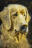 Placeholder: golden retriever in the style of frank auerbach
