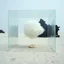 Placeholder: Fotografia di una scena surreale e concettuale, probabilmente un'opera d'arte o un'installazione. Al centro si vede una struttura trasparente, forse fatta di pannelli di vetro o plexiglass, che racchiude un elemento nebuloso, simile a una nuvola sospesa. La superficie sottostante sembra essere sabbiosa, con piccole dune o accumuli di sabbia. Sullo sfondo si intravedono altre forme o strutture, alcune delle quali scure e dall'aspetto organico, hasselblad h6d400c, molto nitido