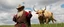 Placeholder: Gandalf as a cowboy, Gimli as a wrestler cow