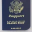 Placeholder: full view of a realistic, United States passport card with photo of person, transparent background.