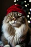 Placeholder: Christmas cat