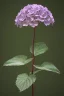 Placeholder: an isolated translucent hydrangea plant, 3d render, art nouveau style, ultra realistic, masked transparent flat background, backlight, popular on sketchfab, pixelsquid, 8k, volumetric lighting, super focused, no blur, trending on artstation, octane render, ultra detailed, hyperrealistic, by artgerm and alphonse mucha