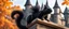 Placeholder: portrait of a shiny black dragon squirrel in autumn, flying above wooden castle, breathing smoke