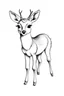 Placeholder: • Simple on line draw for kids of a cute tiny cartoon 'White-tailed Deer' inolated on white, white background, without color, black and white
