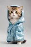 Placeholder: baby cat in raincoat. Chibi, Photograph, Canon DSLR, Tilt - shift, white background, high definition, Complete and coordinated composition, 8k