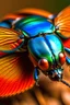 Placeholder: Colorful close-up of scarab wings spread open in flight