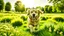 Placeholder: a joyful golden retriever running through a sunlit meadow, vibrant green grass, warm sunlight, dynamic action shot, happy and carefree, nature, energetic, high resolution, wide angle –upbeta