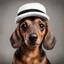 Placeholder: dachshund with a hat on