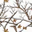 Placeholder: detailed Real Tree Camouflage made of sticks, twigs, tree bark, dried maple leaves, green pine branches, snow and dirt, white background, seamless repeatable texture pattern imitating a natural forest background, add details