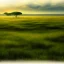 Placeholder: african grassy plain