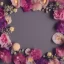 Placeholder: delicate arrangement of pressed flowers, beautiful composition, aesthetic layout, tulle background