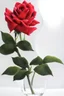 Placeholder: roses in clear vase, photograph