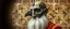 Placeholder: pin hole cam, master oil painting by Rembrandt, realistic rendering Portrait of the Apkallu sage who were sent by the god Ea to teach civilization to humanity before the flood. They were depicted as half-human and half-fish or bird, and were associated with wisdom, magic, and culture. blurred tile yin yang pattern background, brightened edges to give a sense of depth