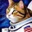 Placeholder: Cat portrait in space suit