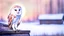 Placeholder: a barn owl sitting an old ruined hut's rooftop and looking to te camera, over a winter landscacpe with european forest , little light, sunrise, high detailed, sharp focuses, photorealistic, perspective, cinematic