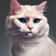 Placeholder: cute cat