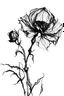 Placeholder: A drawing of a dry dead flower in black ink