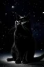 Placeholder: Space, black cat, stars, alone