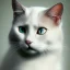 Placeholder: concerned white cat