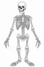 Placeholder: skeleton. Outline, sketch style, only use outline, mandala style, clean line art, white background, no shadows, no clear wall, coloring page.