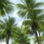 Placeholder: palm trees