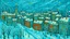 Placeholder: A cyan city in winter season with falling snowflakes painted by Vincent van Gogh